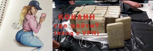 ПСИЛОЦИБИНОВЫЕ ГРИБЫ Алексин