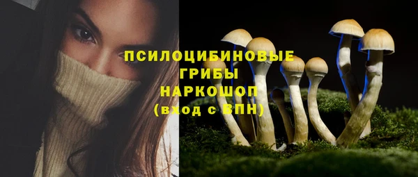 ПСИЛОЦИБИНОВЫЕ ГРИБЫ Алексин