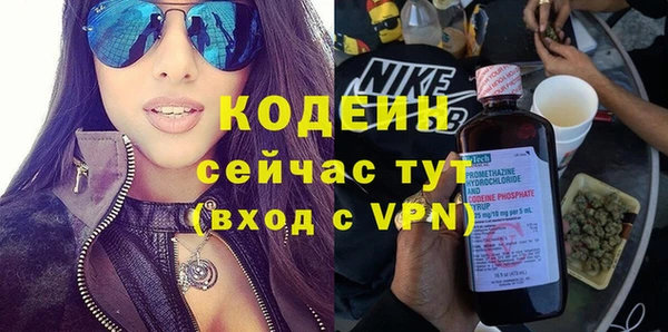 эйфоретик Алзамай