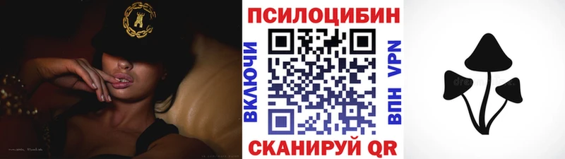 Галлюциногенные грибы Psilocybine cubensis Комсомольск